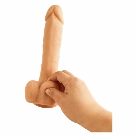 MISTER DIXX Chase 6,7" silikonowy model anatomiczny z przyssawką