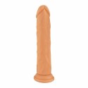MISTER DIXX Ryan 24,5 cm silikonowy model z przyssawką i mocowaniem