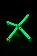 Dream Toys Radiant Hog Tie świecący w ciemności, zielony, 4 zapięcia