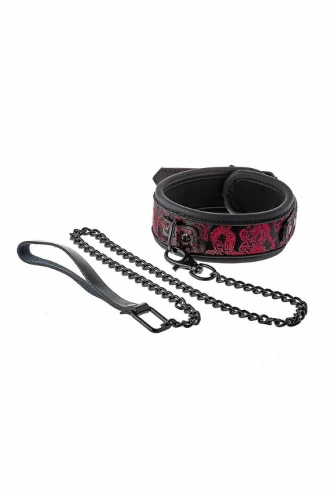 Blaze Deluxe Collar & Leash - regulowany zestaw z haftem, czarny