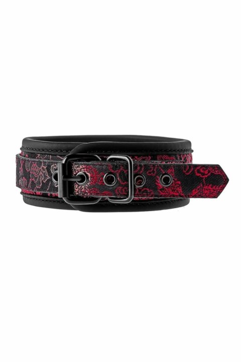 Blaze Deluxe Collar & Leash - regulowany zestaw z haftem, czarny