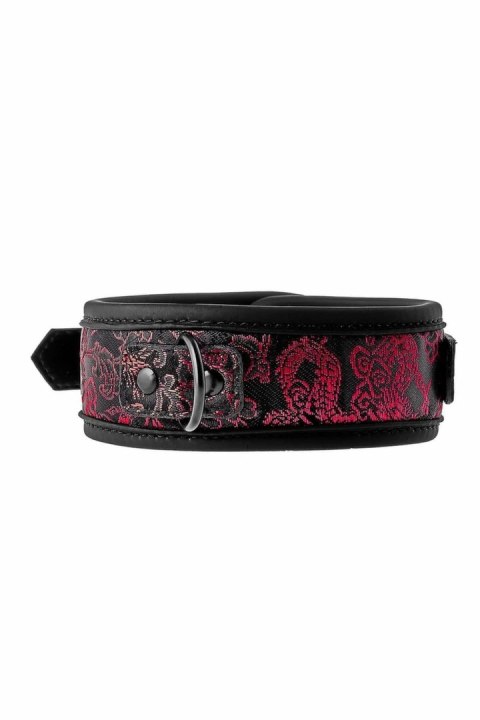 Blaze Deluxe Collar & Leash - regulowany zestaw z haftem, czarny